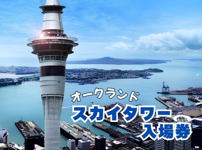 オークランド  スカイタワー  入場券