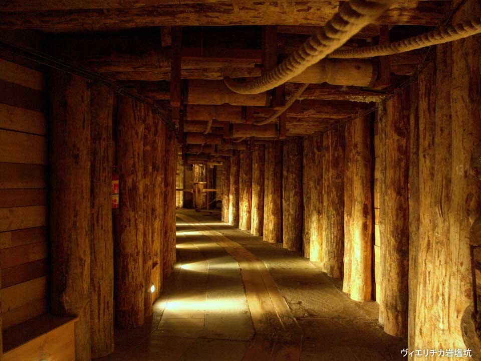 日本語公認ガイドが同行するので安心