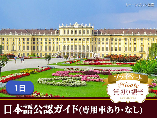 【プライベート】ウィーンのベストスポットを巡る1日観光（日本語公認ガイド案内、専用車付プランまたは公共交通機関1日乗車券付き付プラン）