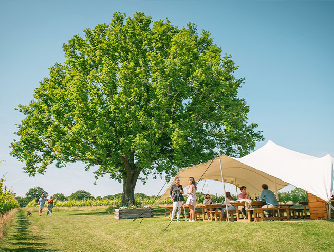 日本語有資格者（DipWSET）が同行