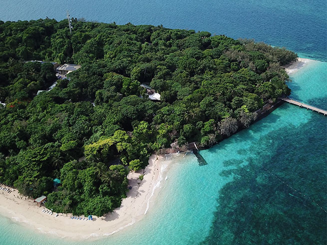 グリーン島とグレートバリアリーフを大満喫！ランチ付き１日ツアー【アドベンチャー】