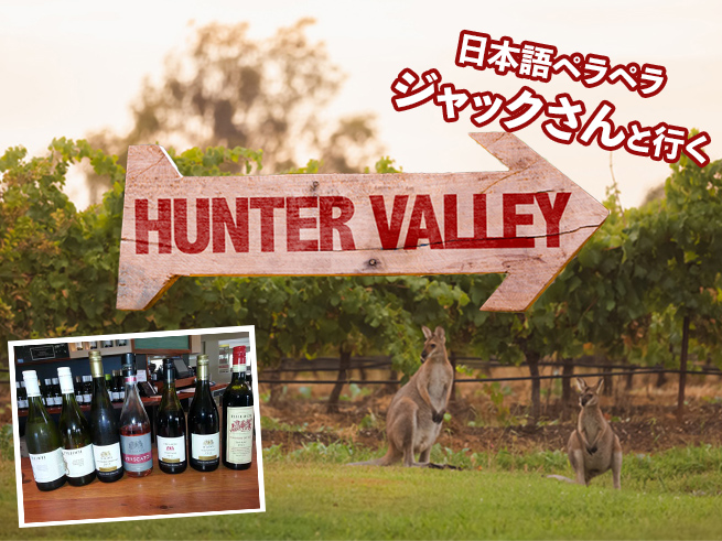 日本語でご案内！ジャックさんのハンターバレーワイナリーツアー