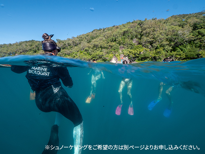 陸と海、両方で自然体験