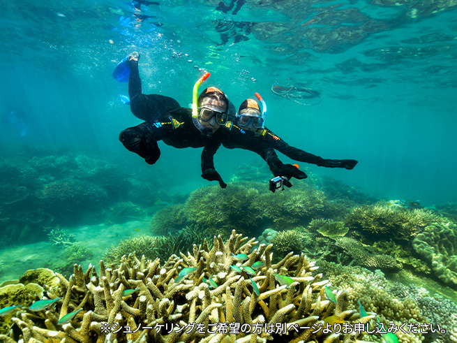 陸と海、両方で自然体験