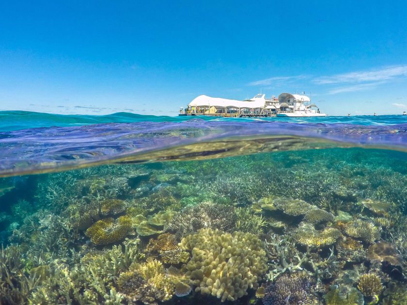 グレートバリアリーフアドベンチャー・ランチ付き1日ツアー