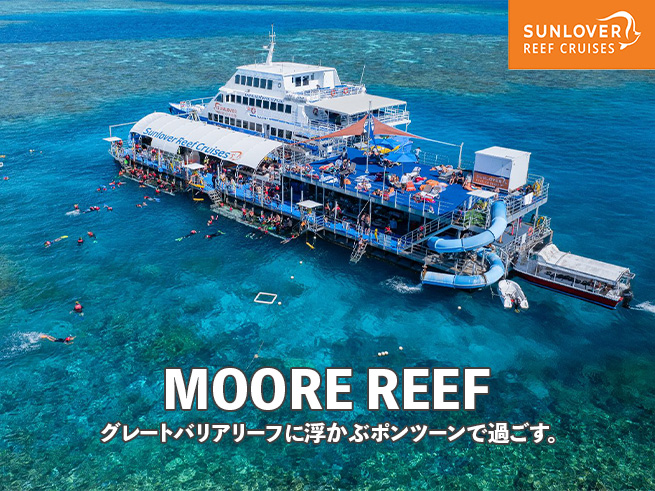 グレートバリアリーフ満喫！海の楽園モアリーフで過ごす贅沢な1日（ランチ付き）