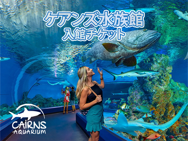 ケアンズ水族館 入館チケット