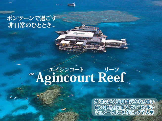 透明度抜群【エイジンコートリーフ】アウターリーフクルーズ（送迎付き）