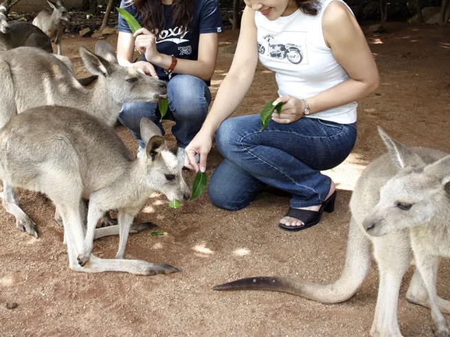 ワイルドライフパーク入園