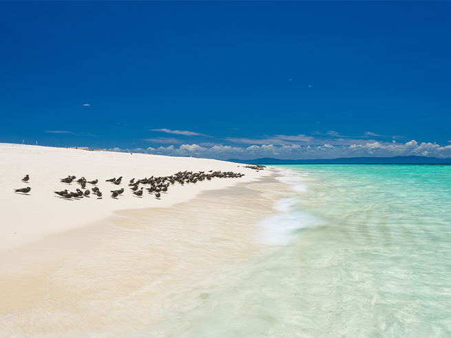 手つかずの自然と白砂の楽園