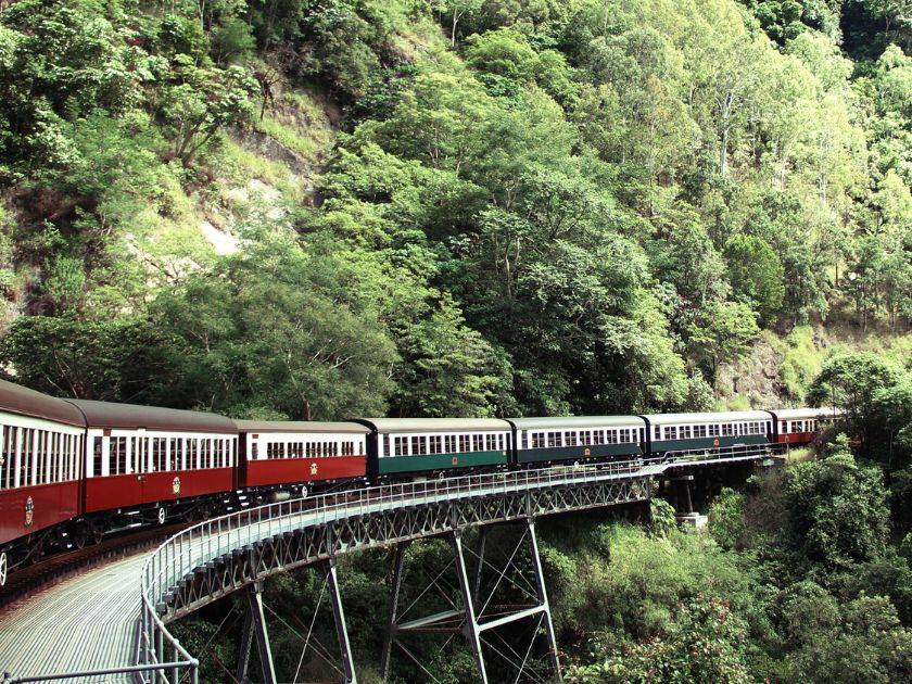 【世界遺産】ケアンズ発！キュランダ熱帯雨林と高原列車の旅（英語ガイド）
