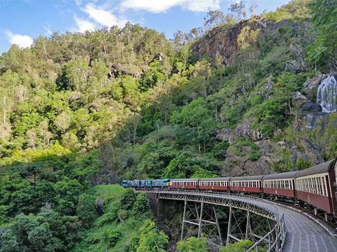 世界最古の熱帯雨林を満喫