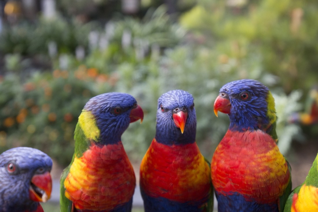 多彩なショーとイベントが盛りだくさん！