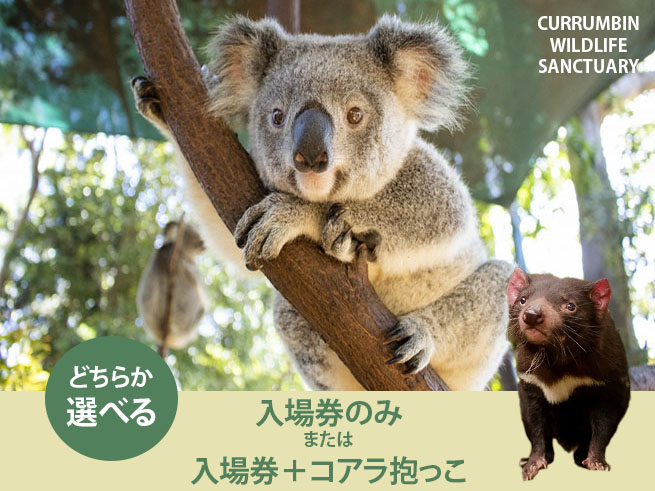 カランビンワイルドライフサンクチュアリー【入場チケット】