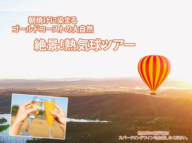 ✓類似プランもチェック