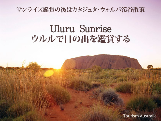 世界遺産ウルル【サンライズ＆カタジュタを巡る 】早朝ツアー