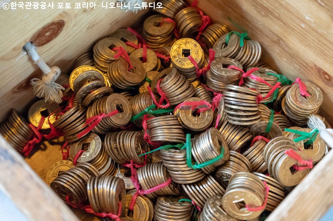 通仁市場のドシラック(お弁当)体験🍱✨