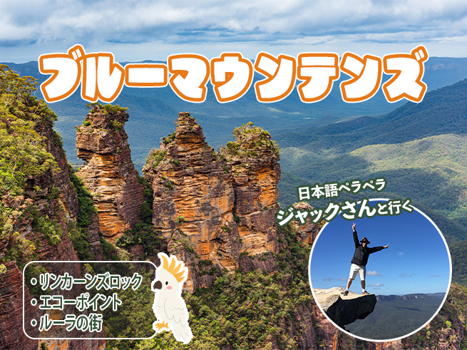 日本語でご案内！ジャックさんのブルーマウンテン + キングステーブル & ルーラ