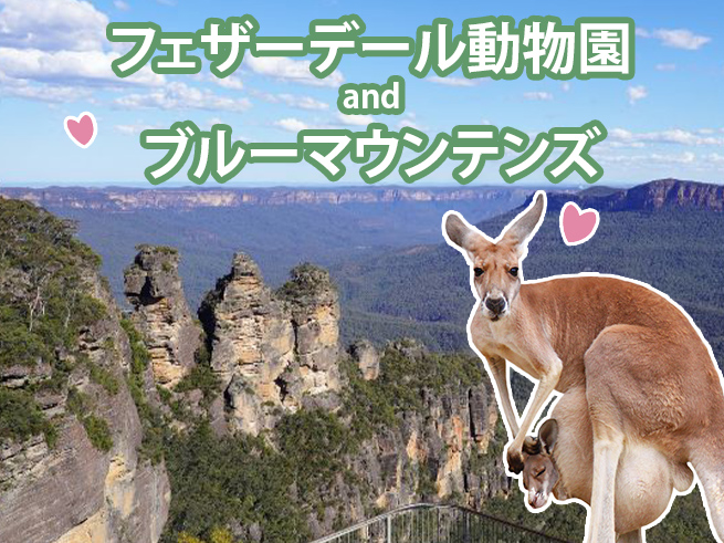 【日本語ガイド】世界遺産ブルーマウンテンズ＆フェザーデール動物園 欲張り1日旅（偶数日催行）　