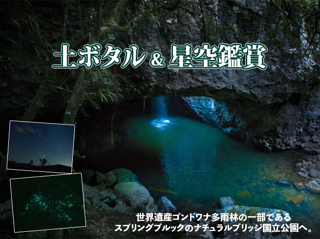 【世界遺産】幻想的な土ボタル観賞 ナチュラルブリッジ夜の森ツアー（送迎付き）