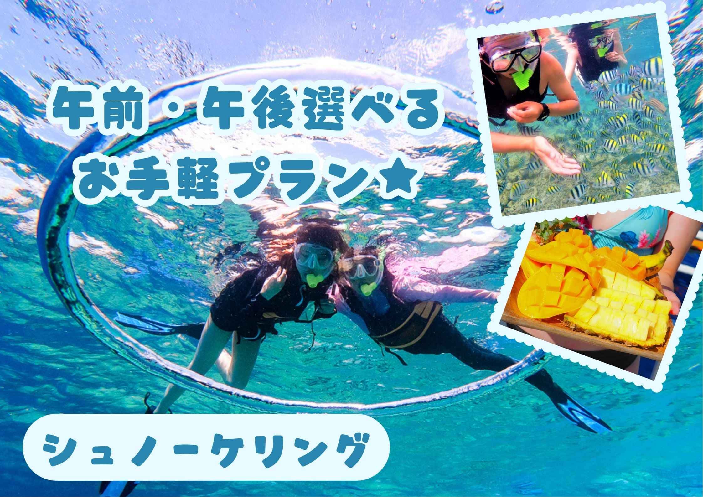 【午前or午後 半日】手軽に楽しむ半日シュノーケリング！（ランチなし）
