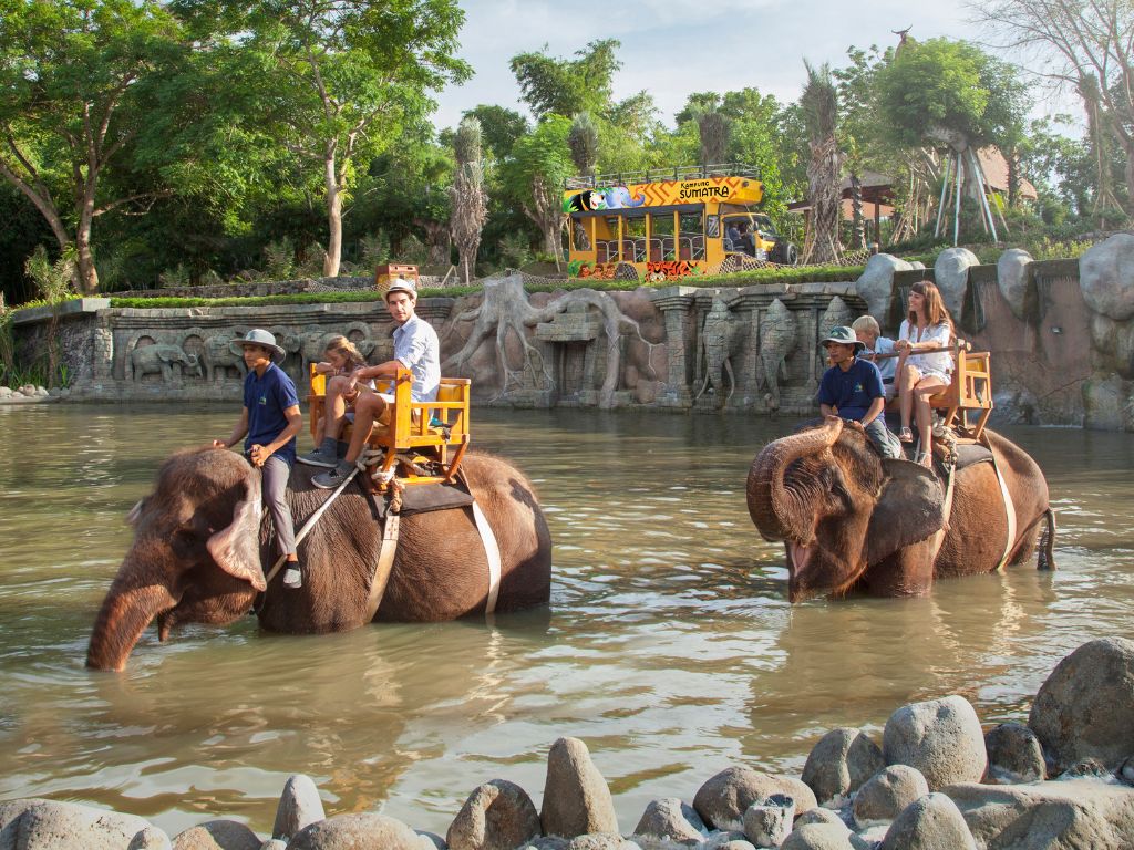 バリズーで象乗り体験｜象の背中に乗って園内をお散歩