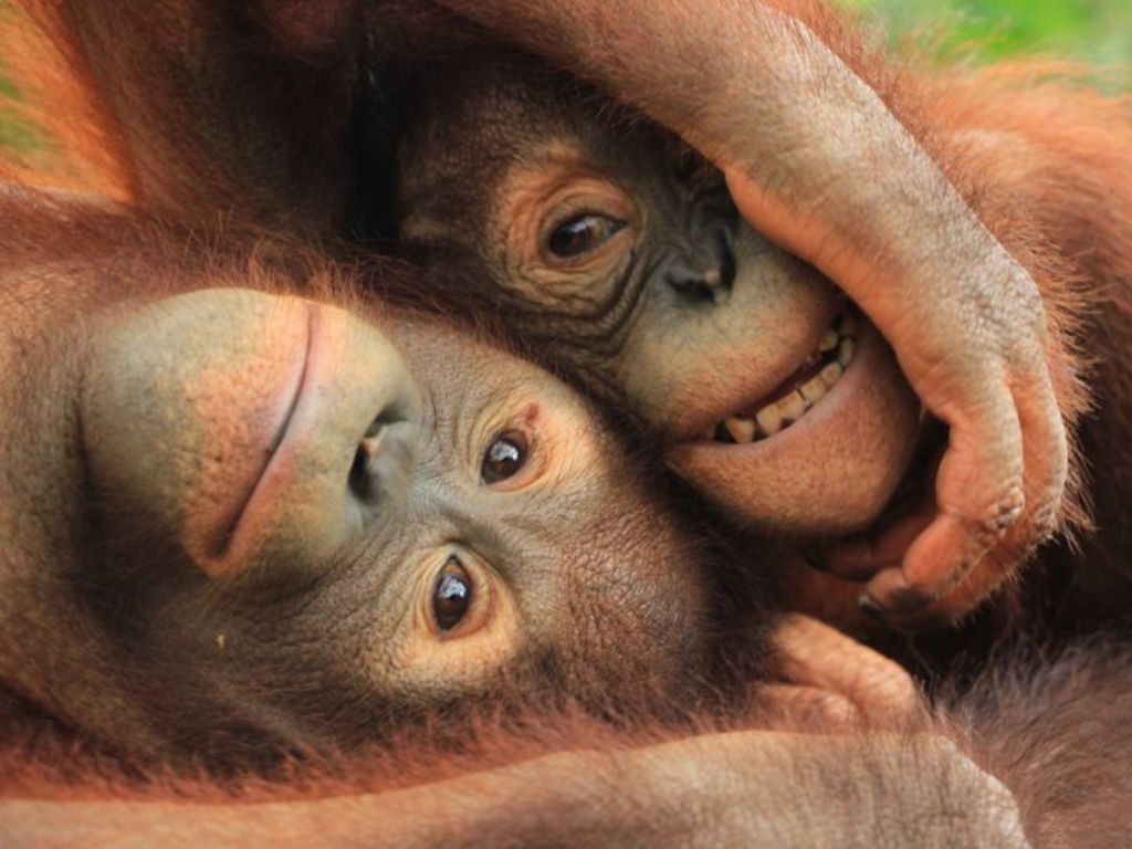 バリズーに2時間半滞在｜アニマルショー・エサやり体験・キッズプールも楽しめる！