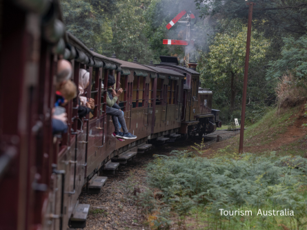 『蒸気機関車パッフィンビリー』