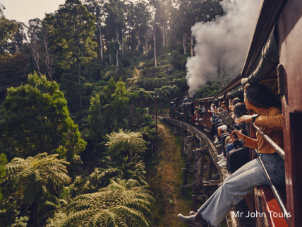 【日本語ガイド】パッフィングビリー蒸気機関車とダンデノン丘陵ツアー 少人数制 <MR JOHN TOURS>