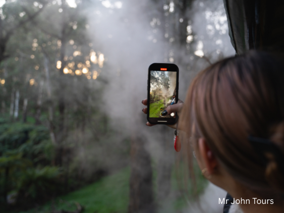 メルボルン、ダンデノン、蒸気機関車