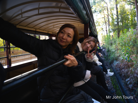 メルボルン、ダンデノン、蒸気機関車