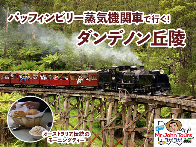 【日本語ガイド】パッフィングビリー蒸気機関車とダンデノン丘陵ツアー  少人数制 ＜MR JOHN TOURS＞