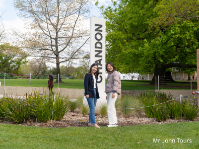 メルボルン、ヤラバレー、ワイナリー