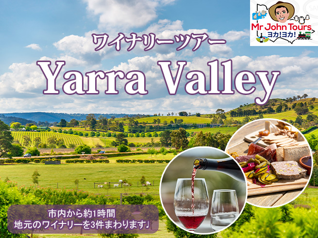 【日本語ガイド】ヤラバレー・ワイナリーとシャンドンツアー  少人数制 ＜MR JOHN TOURS＞
