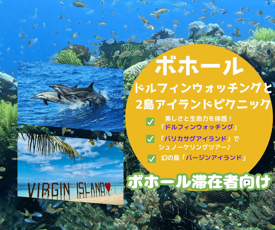 【ボホール滞在者向け】ドルフィンウオッチング＆バリカサグ島とバージンアイランド＜ホテル送迎付き／混載車／英語ガイド同行＞