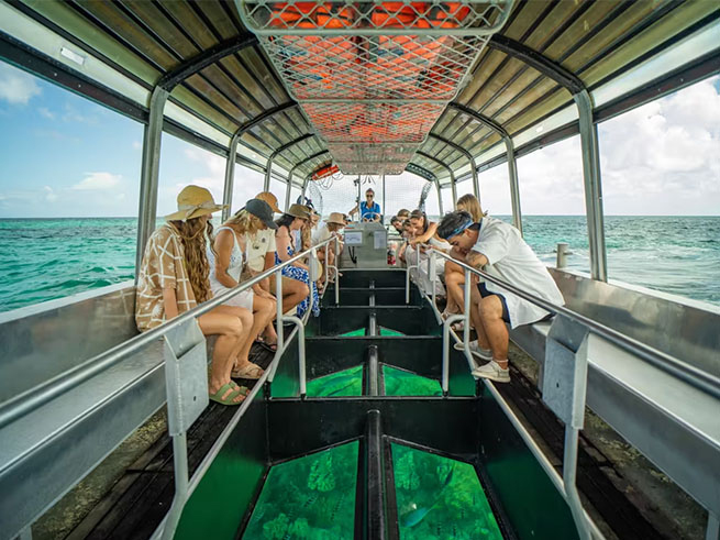 グラスボトムボートで海中観察