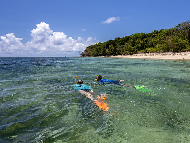 選べる海中体験