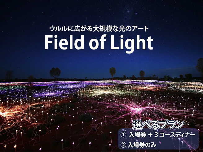 【フィールド・オブ・ライト】ウルルの夜を彩る光のアート体験（送迎付き）