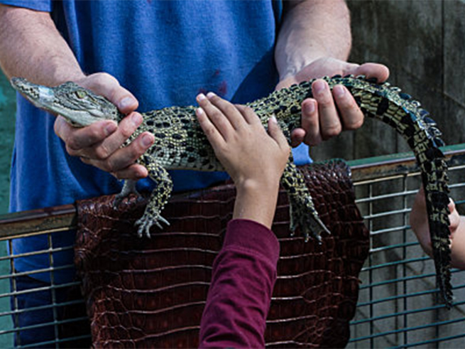 ふれあい＆記念撮影体験