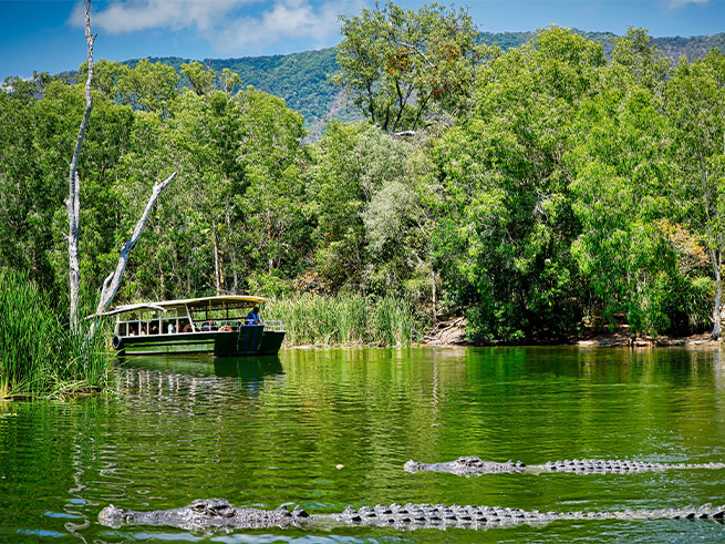 大迫力のワイルドショー