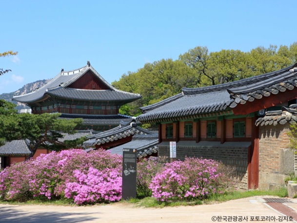 昌徳宮（チャンドックン）～王族達が暮らしていた厳粛な建造物～