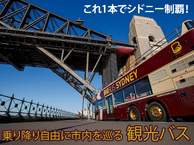 【ビッグバス】乗り降り自由にシドニー市内観光！ホップオン ホップオフ バス（日本語音声ガイド付）