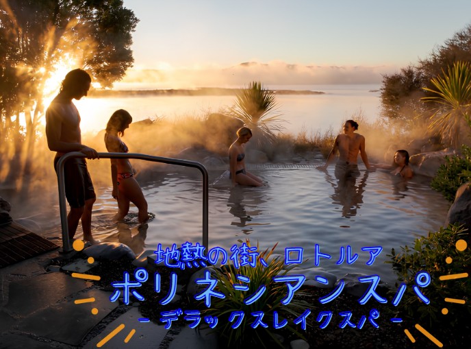 ロトルア現地おすすめツアー!