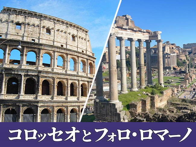 世界遺産コロッセオとフォロ・ロマーノ入場チケット付き！パラティーノの丘も行く半日観光ツアー  (日本語公認ガイド案内)  ※馬車散策付きプランもあり