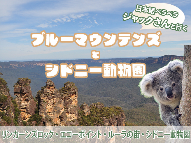 日本語でご案内！ジャックさんのブルーマウンテン + シドニー動物園 + キングステーブル + ルーラ