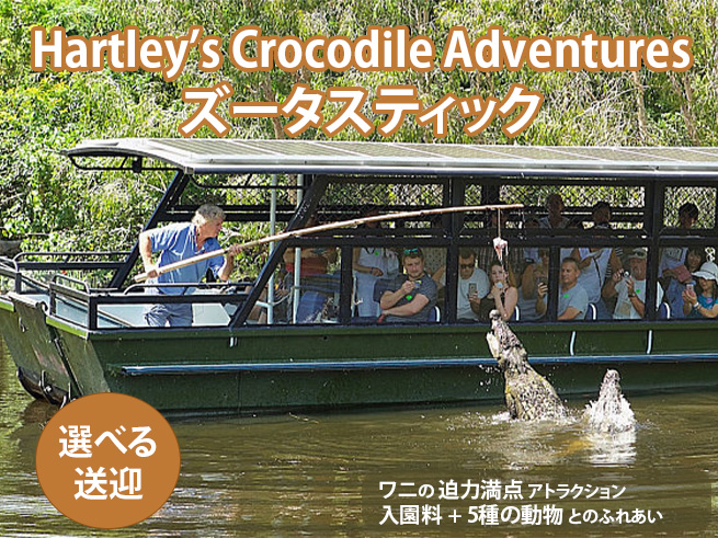 【ハートリース動物園】入園料 + 5種の動物と触れ合い（コアラタッチ写真・ラグーンクルーズ付き）ズータスティック５