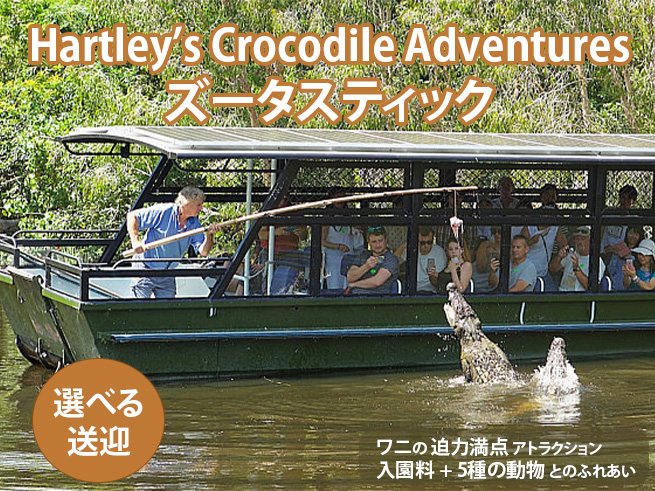 【ハートリース動物園】入園料 + 5種の動物と触れ合い（コアラタッチ写真・ラグーンクルーズ付き）ズータスティック５