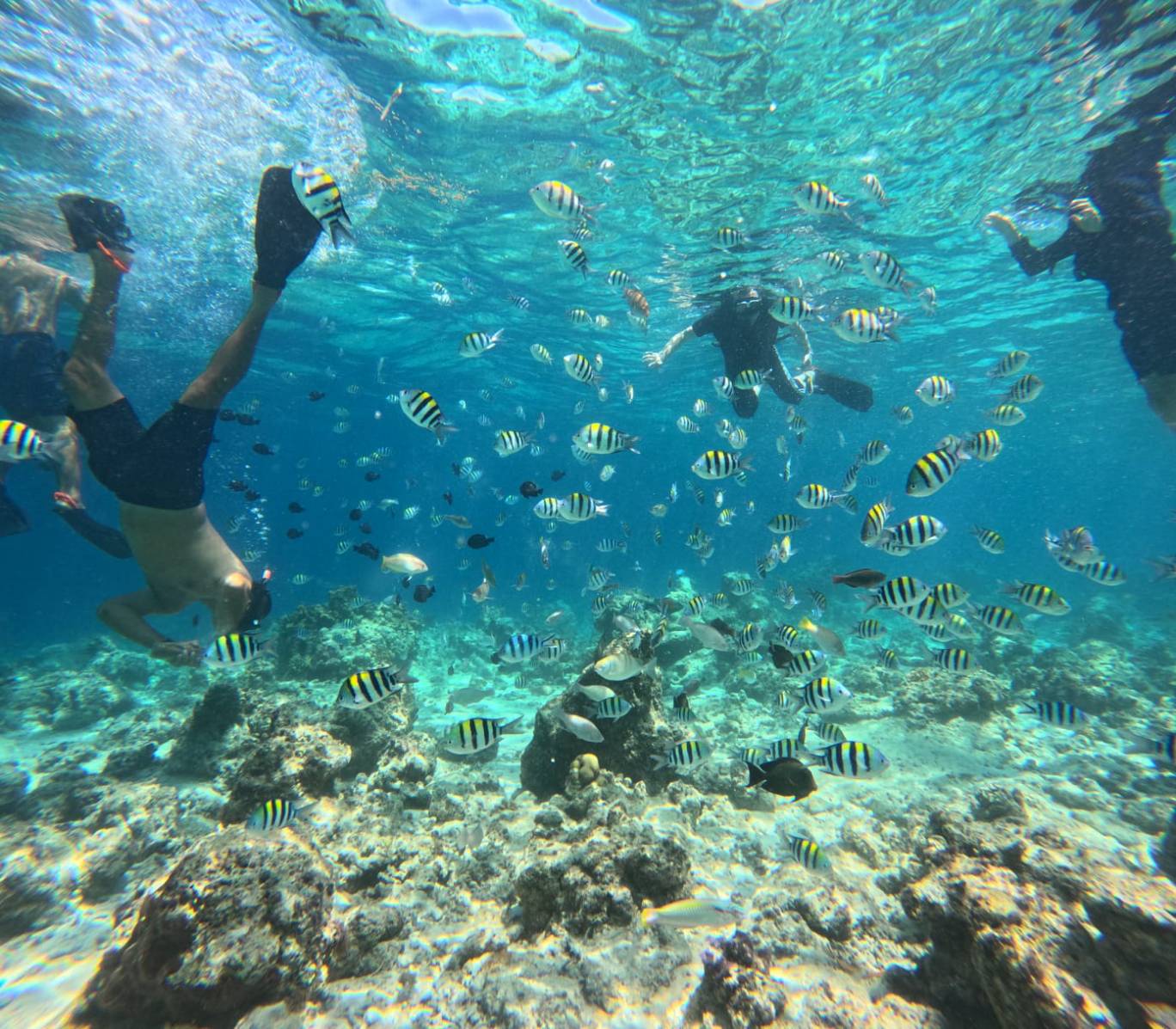 ★選べるオプション①★