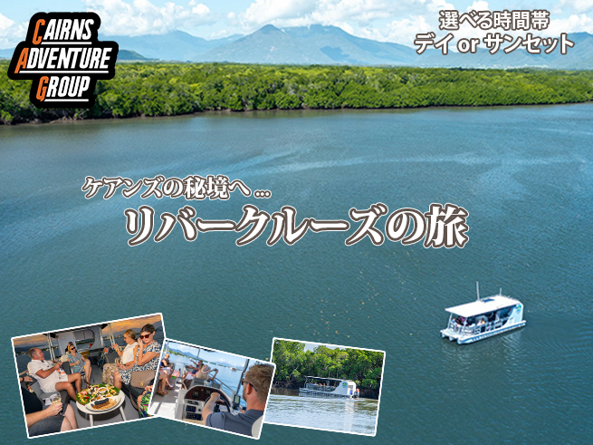 【マングローブを巡る癒しのリバークルーズ】75分の静かな冒険へ