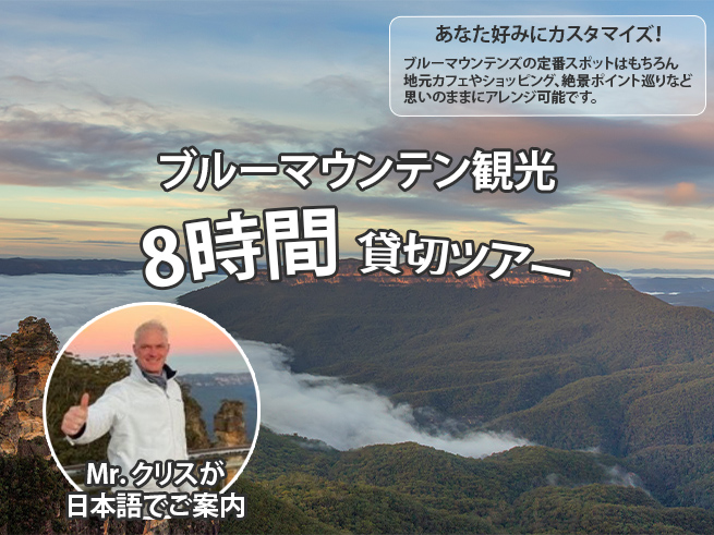【プライベートツアー】ミスターシドニーのブルーマウンテンズツアー